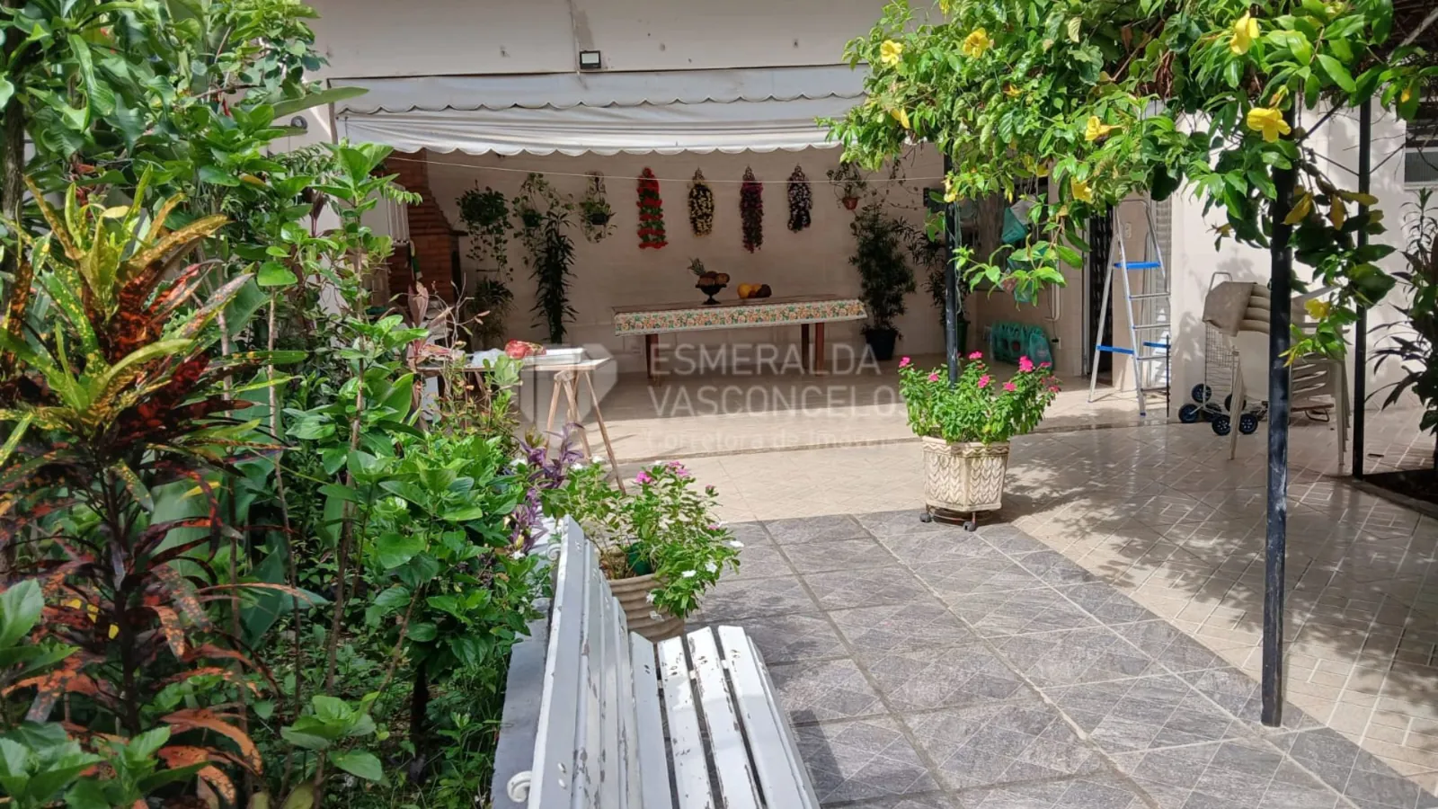 Foto 5